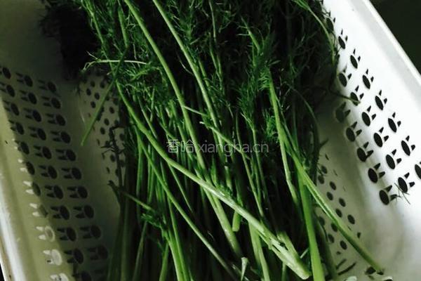 茴香大肉饺子的做法图解3