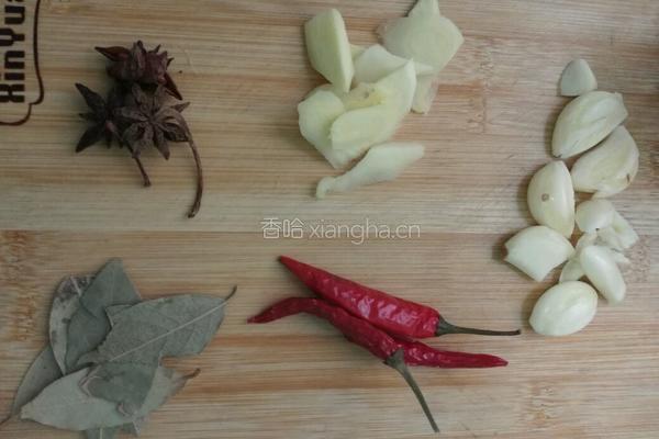 萝卜焖牛腩块的做法图解3
