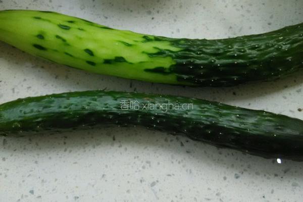 黄瓜炒鸡肉的做法图解1