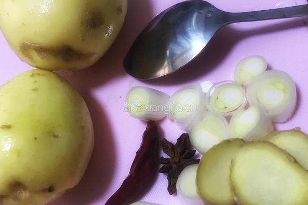 土豆烧牛腩的做法图解3