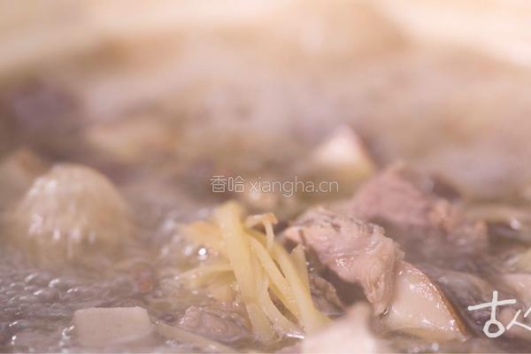 清 红煨羊肉的做法图解5