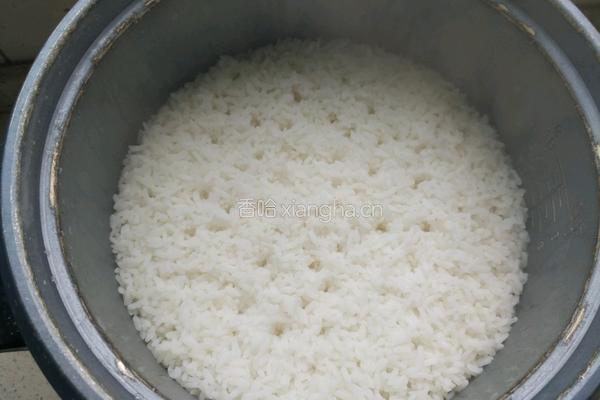 黄焖鸡米饭的做法图解13