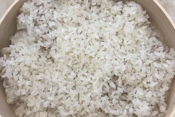 糯米蒸排骨的做法图解6