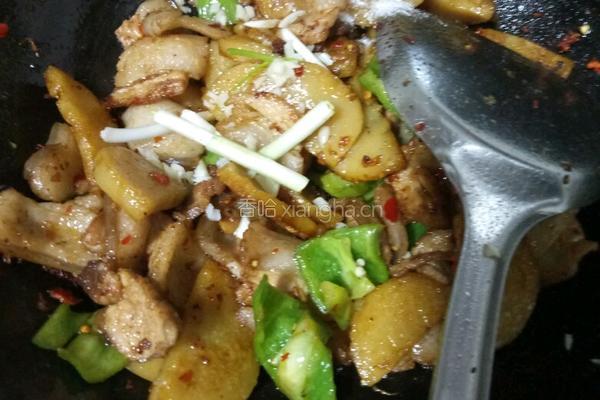 米豆腐回锅肉的做法图解9
