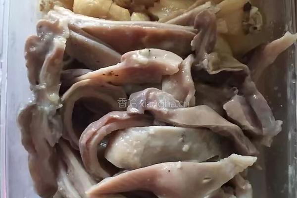 治疗胃病的肚包蒜