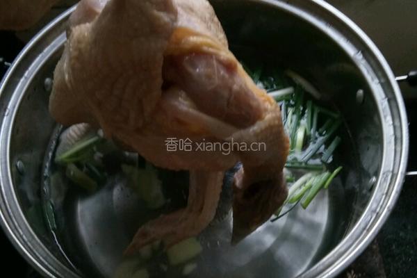 白切鸡的做法图解4