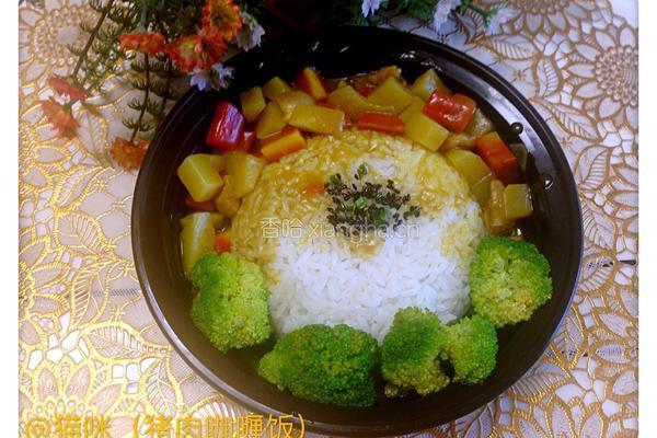 猪肉咖喱饭