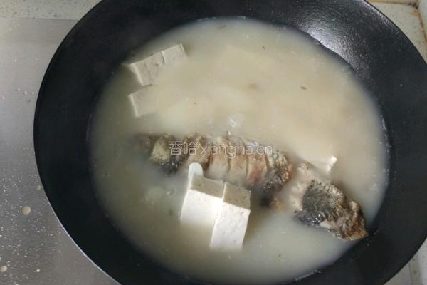 鲫鱼豆腐汤的做法图解7
