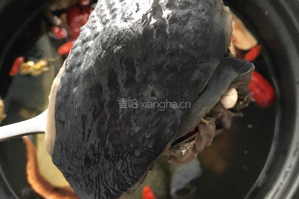石斛参灵芝乌鸡汤的做法图解2