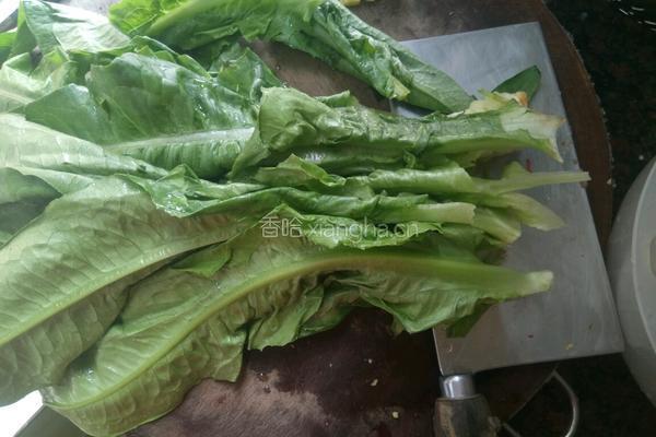 油麦菜炒香菇的做法图解2