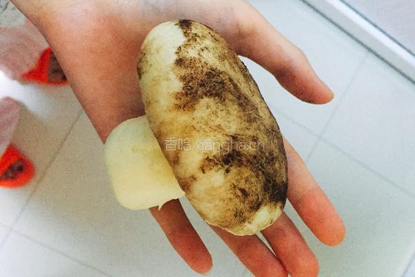 蘑菇豆沙包的做法图解16