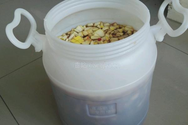 水果酵素的做法图解4