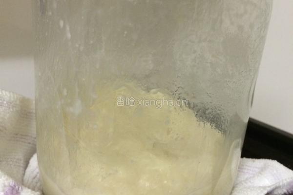 酿米酒的做法图解7