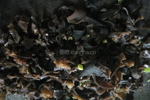 荷兰豆木耳饺的做法图解4