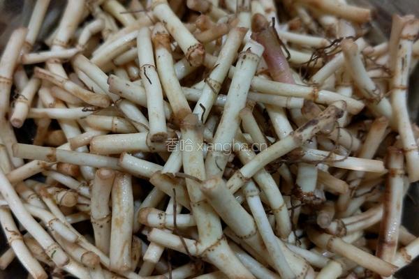 折耳根炒腊肉的做法图解2