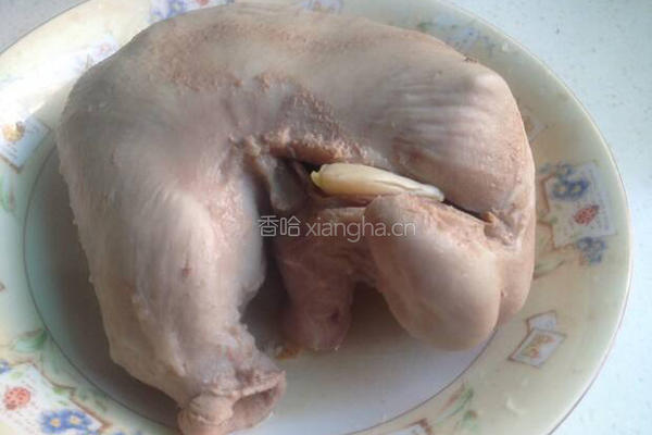 治疗胃病的肚包蒜的做法图解4