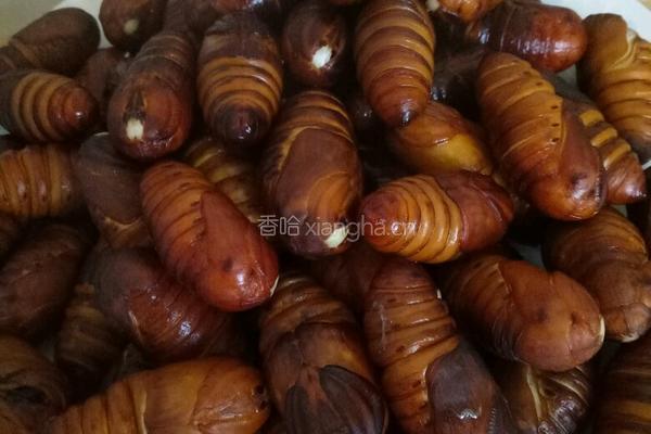 香酥蚕蛹的做法图解2