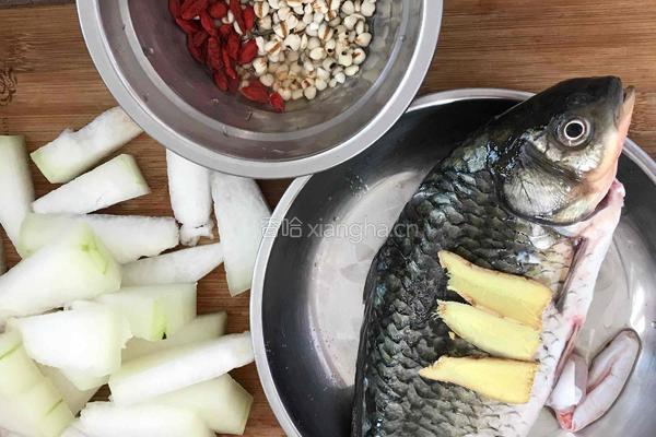 薏米冬瓜鲫鱼汤的做法图解1