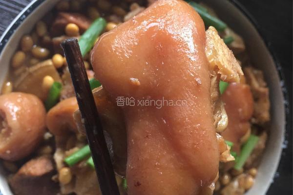 黄豆猪蹄的做法图解11