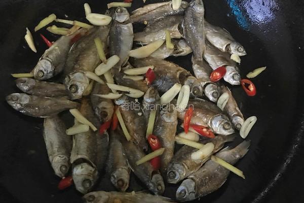红烧野生小鲫鱼干的做法图解5