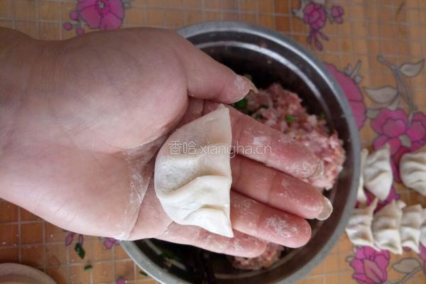 鲜肉煎饺的做法图解9