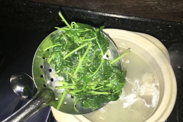 金不换蛤蛎瓠瓜汤的做法图解4
