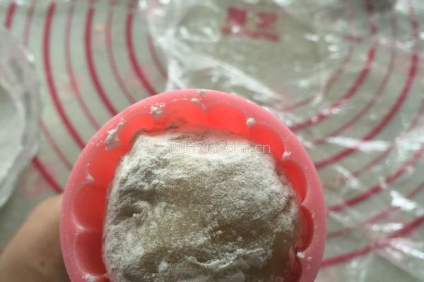 椰蓉蔓越莓月饼的做法图解21