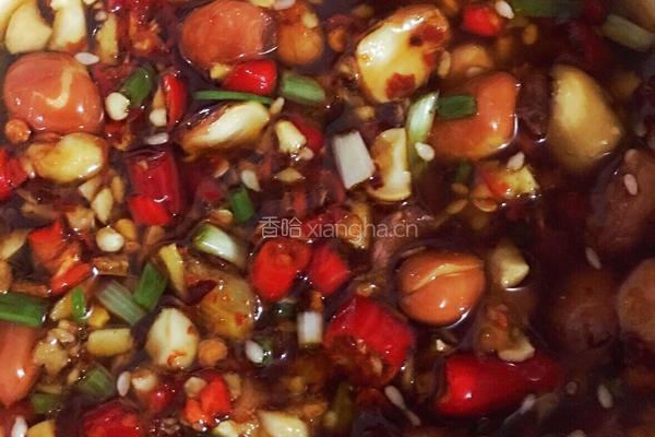 口水鸡腿的做法图解5