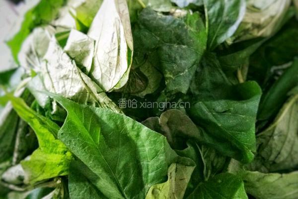 高粱红薯叶馍馍的做法图解2