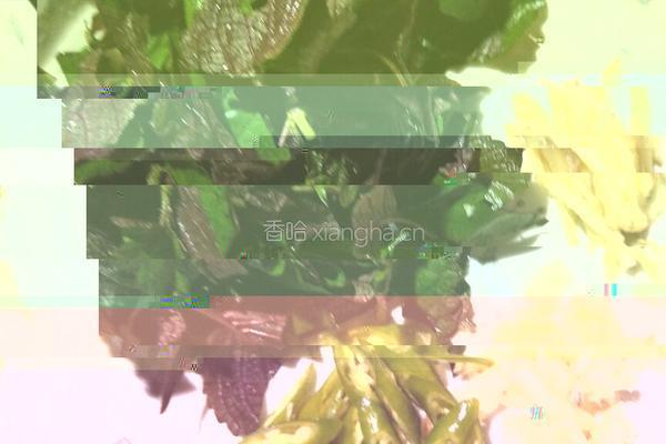 炒螺的做法图解3