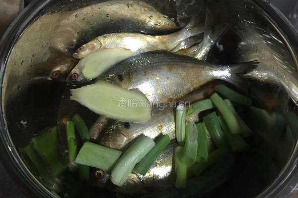 酥海鲫鱼的做法图解3