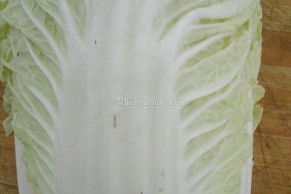 醋溜白菜的做法图解1