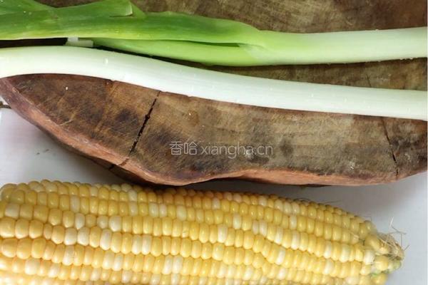 野生菌排骨炖汤的做法图解5