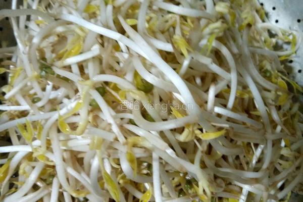 清炒豆芽的做法图解2
