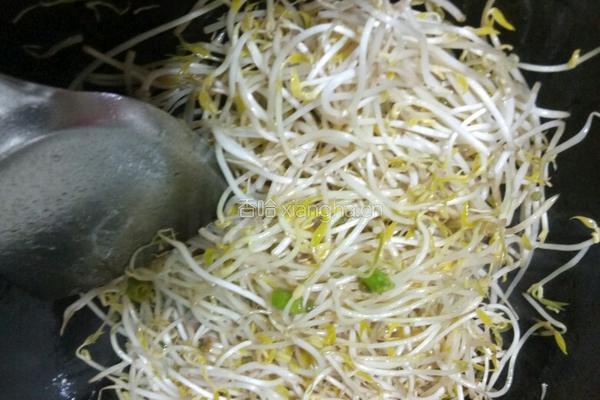 清炒豆芽的做法图解6