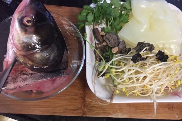 粉皮鲢鱼头汤的做法图解3