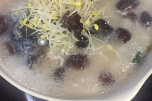 粉皮鲢鱼头汤的做法图解14
