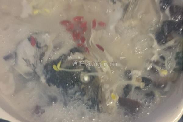 粉皮鲢鱼头汤的做法图解17