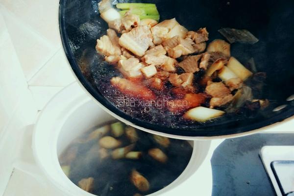 蕃茄炖牛腩的做法图解13