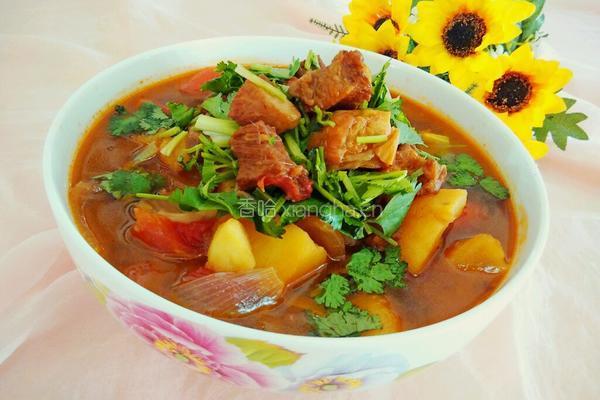 蕃茄炖牛腩的做法图解19