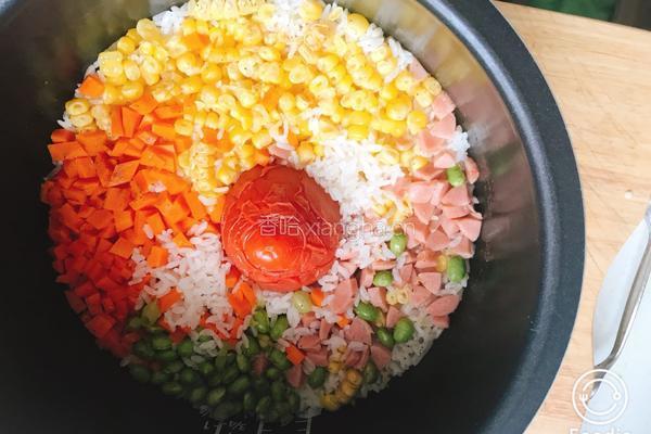 蕃茄焖饭