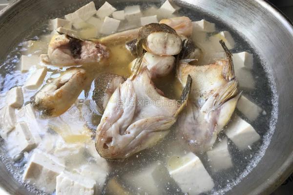 巴子鱼炖豆腐的做法图解5