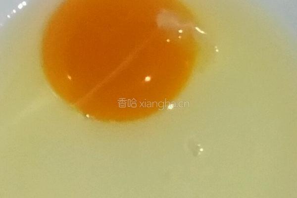 葱花鸡蛋饼的做法图解1
