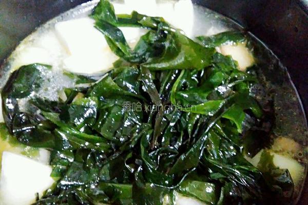 尾骨冬瓜裙带菜汤的做法图解6