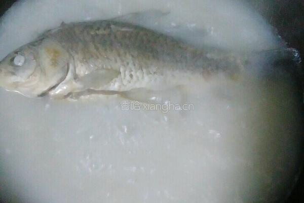鲫鱼汤河粉的做法图解2