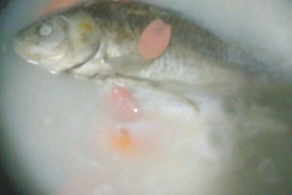 鲫鱼汤河粉的做法图解3