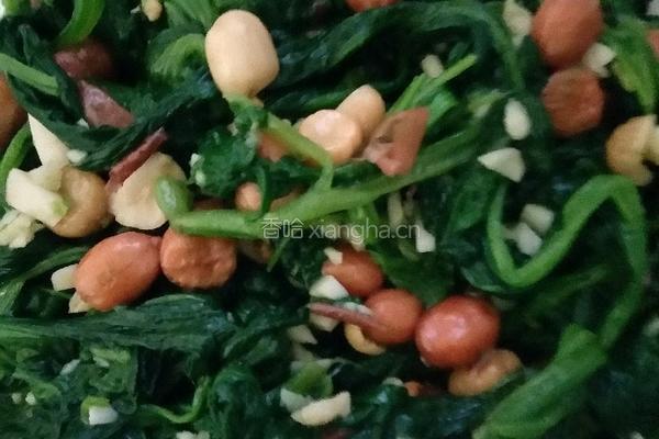 炝拌菠菜的做法图解4