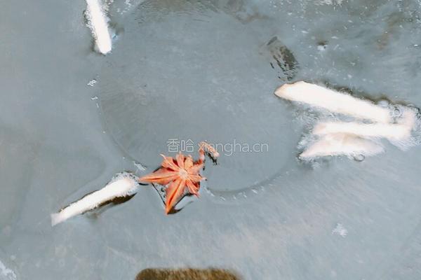 鲜河虾炒韭菜的做法图解3