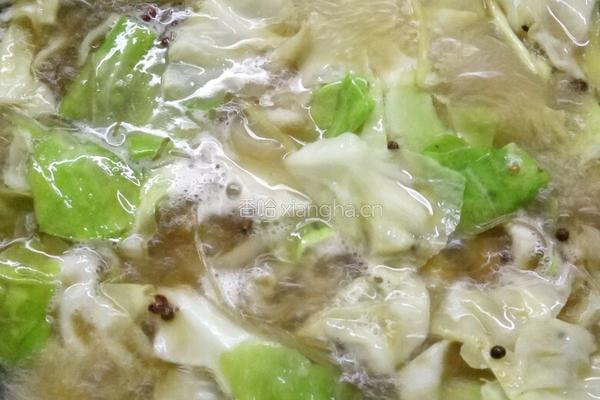 包菜炖粉条的做法图解6