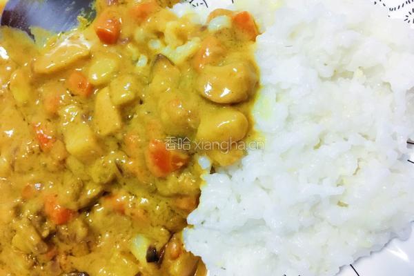 咖喱鸡肉的做法图解9